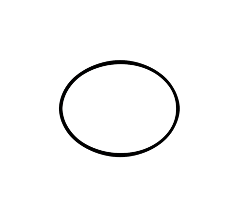 Schwing Flanges and Sealings