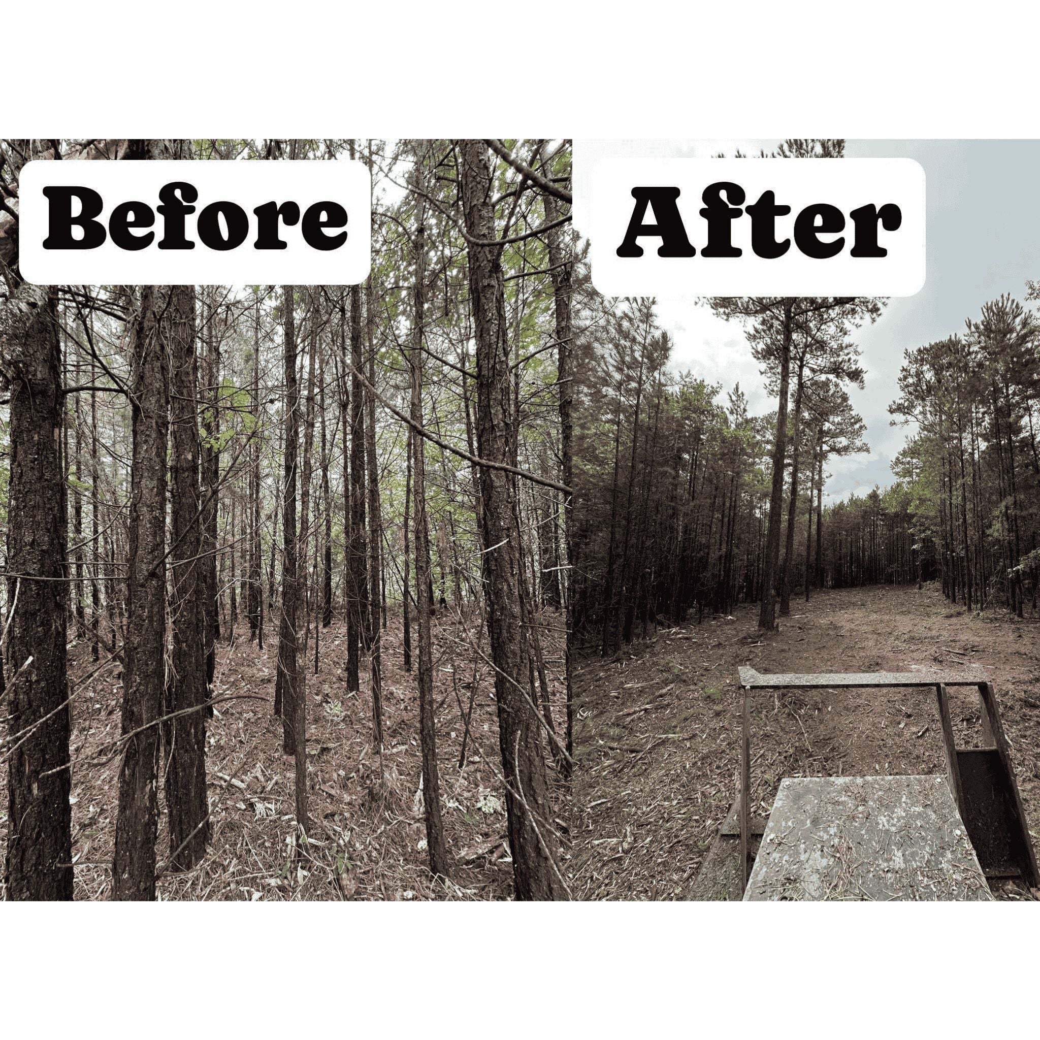 Stinger Decimator Disc Mulcher | Piston Motor | 14" Capacity