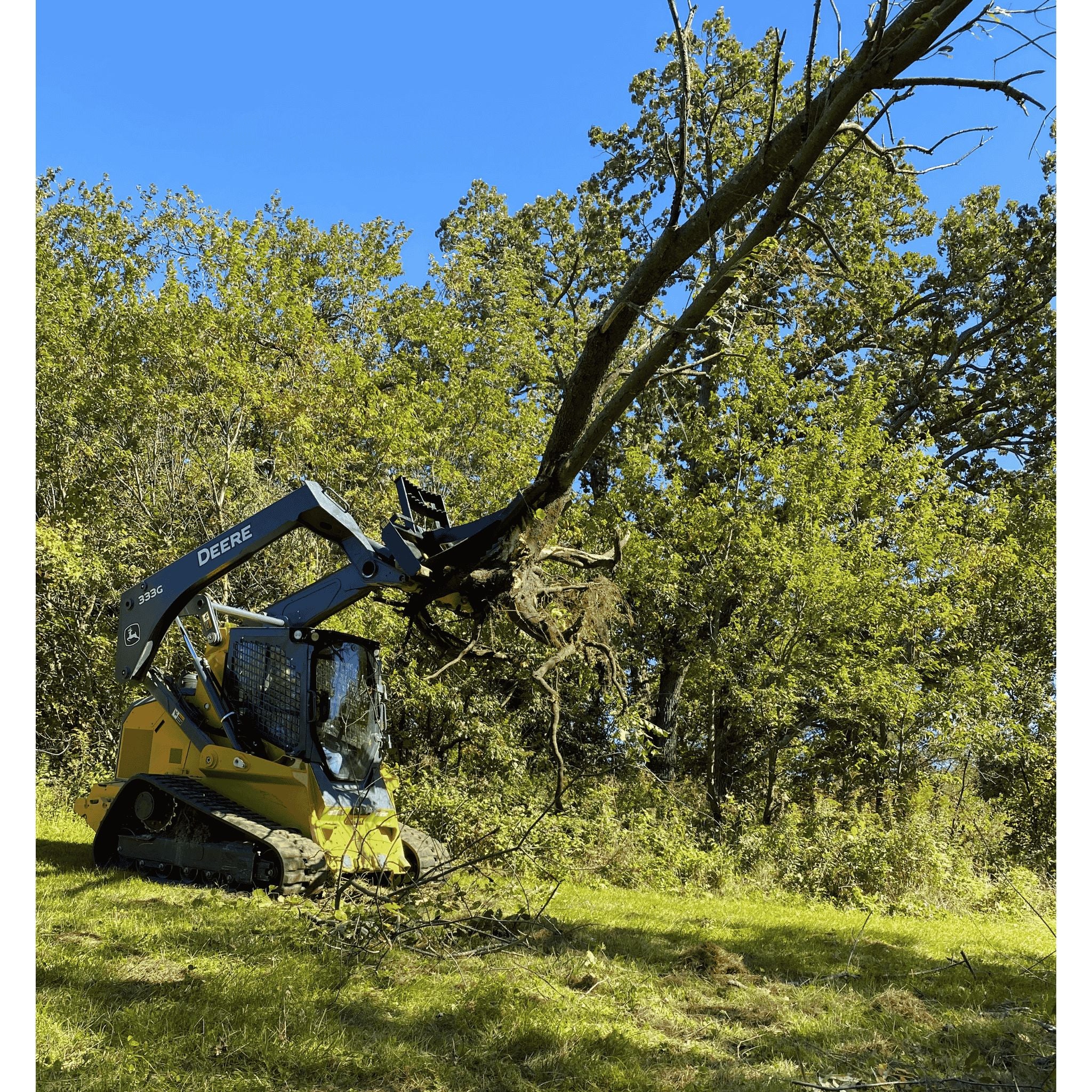 Stinger Tree Puller (STP) | 10" Capacity | Root Spade